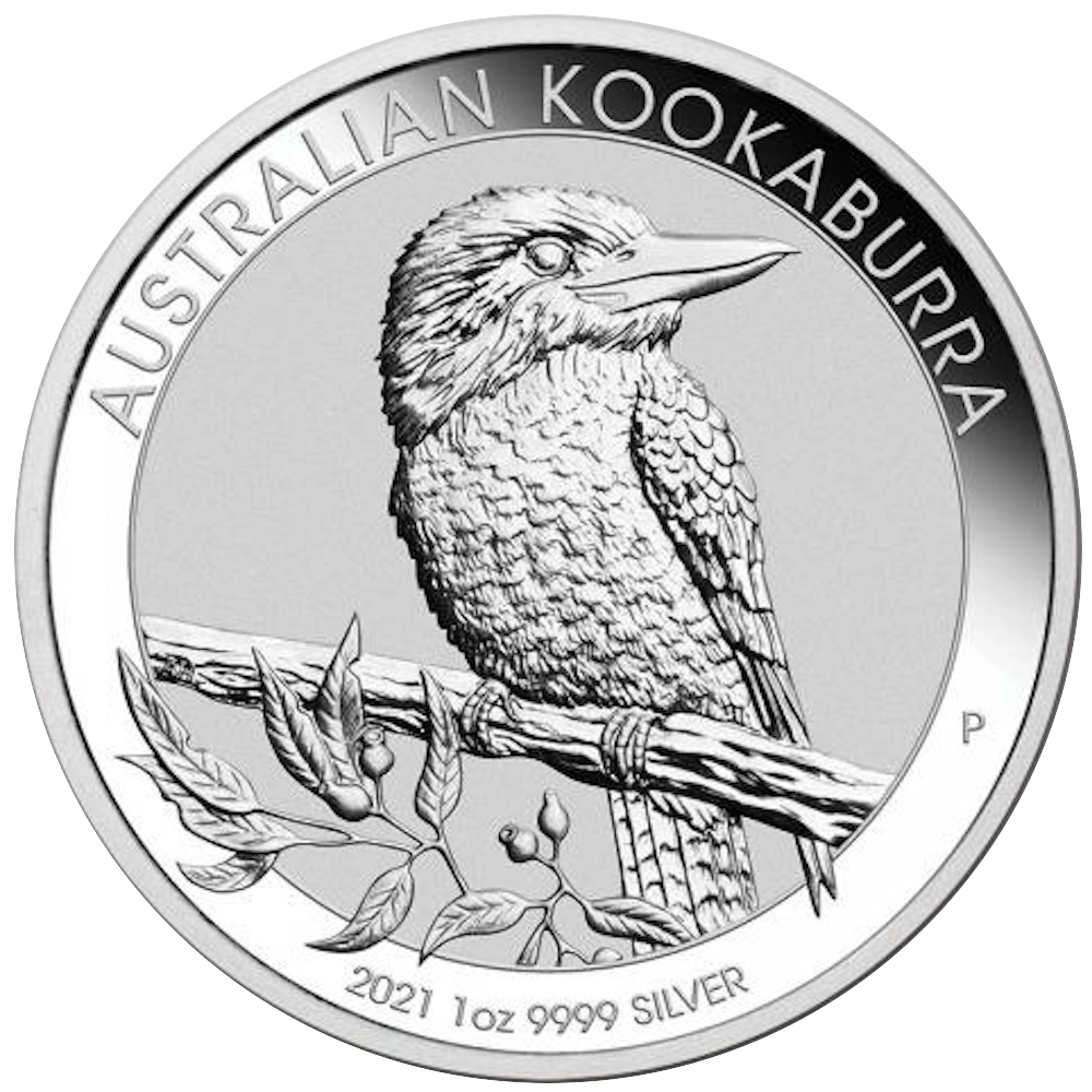 Kookaburra (Dacelo) 1 oncia