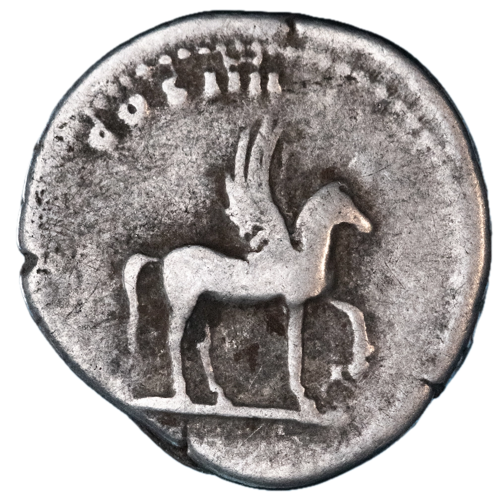 Roman Empire - Denarius Domitian Pegasus Rome