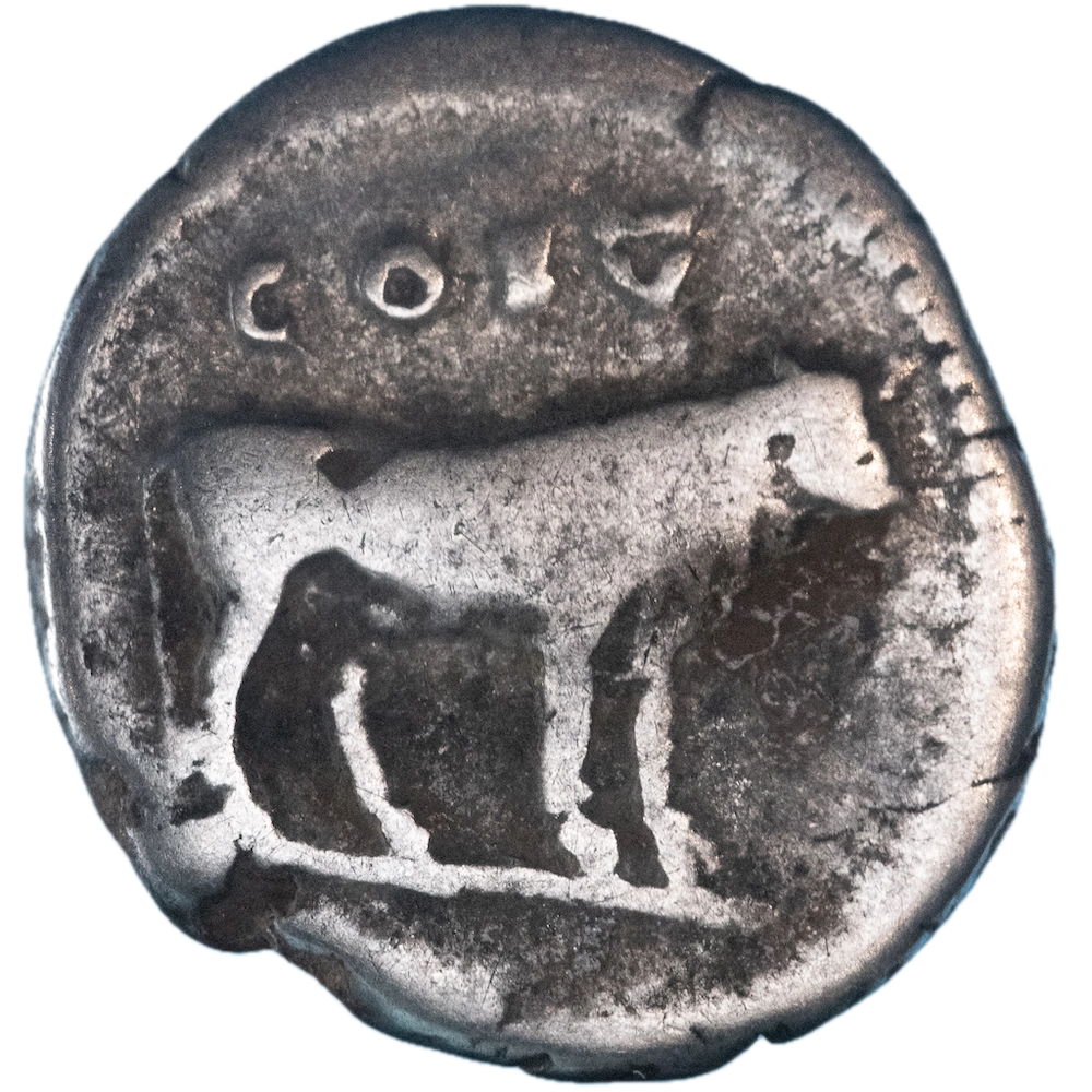 Roman Empire - Flavian Dynasty - Titus Caesar's denarius under Vespasian - Rome