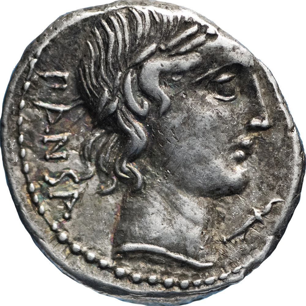 Repubblica Romana Vibius Pansa Denarius c. 90 a.C., Roma